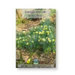 Image 5 from Coniston and Crake Valley News | Coniston and Crake Churches