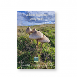 Image 35 from Magazine Archive | Coniston and Crake Churches