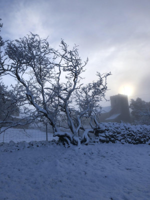 Holy Trinity, Colton; Marion Brown