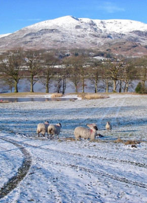 Coniston, Geoff Cooper