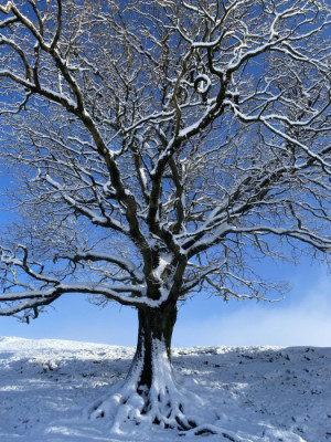 Near Colton Church, Gail Dudson