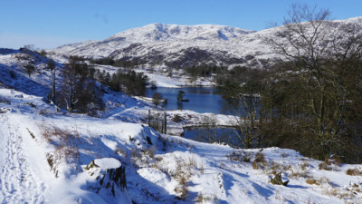 Tarn Hows by Ron Rutland